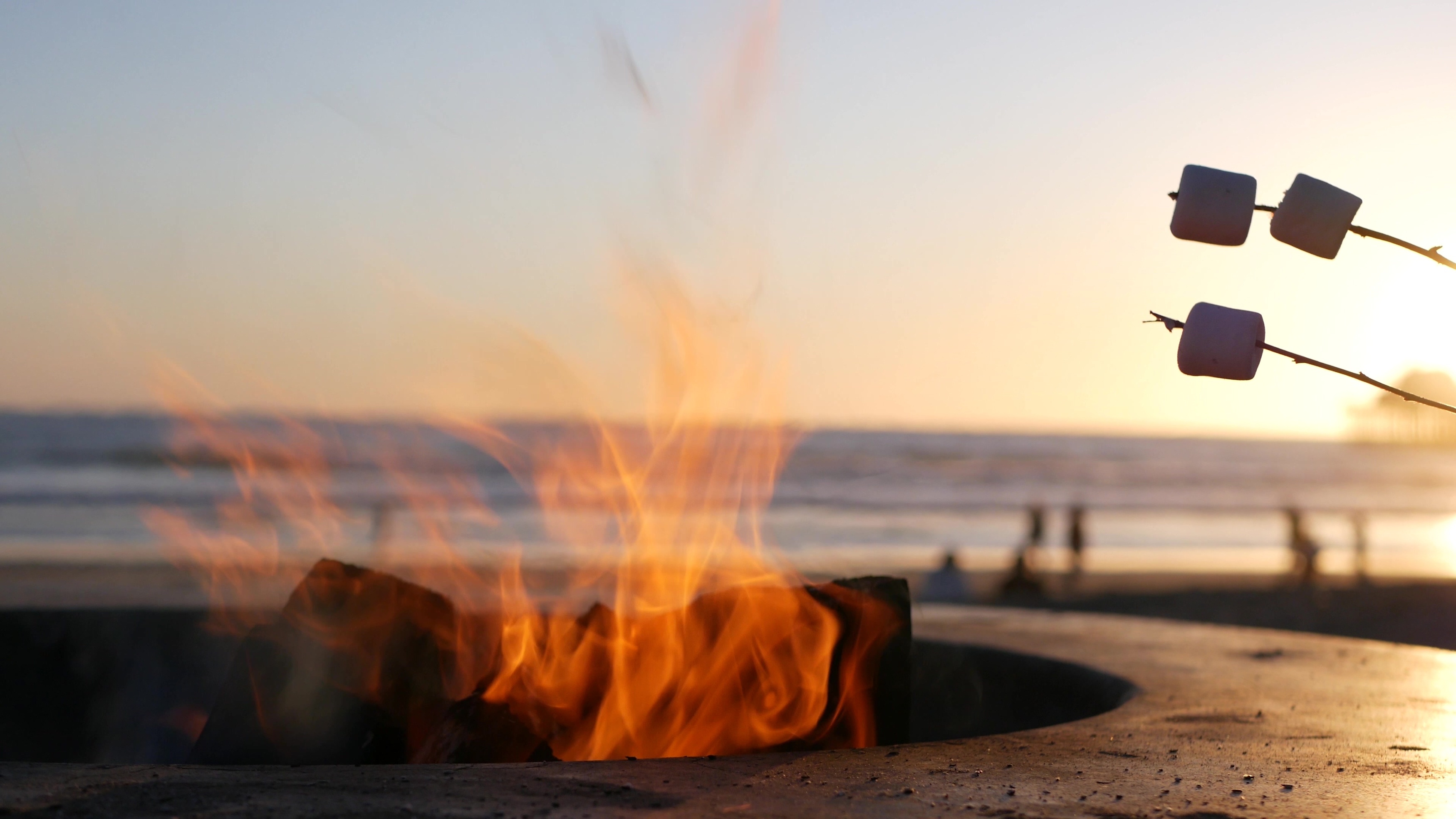marshmallows over a beach bonfire at dusk